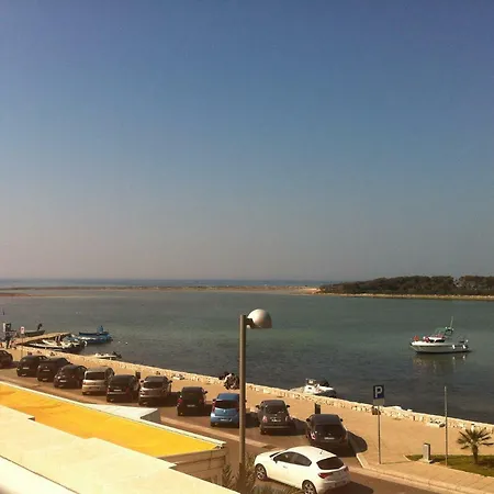 Franca Porto Cesareo